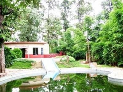 Pride Tiger Woods Resort Kānha Dış mekan fotoğraf